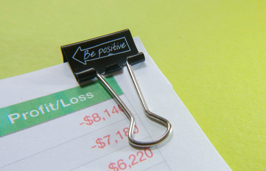 image of a profit and loss report