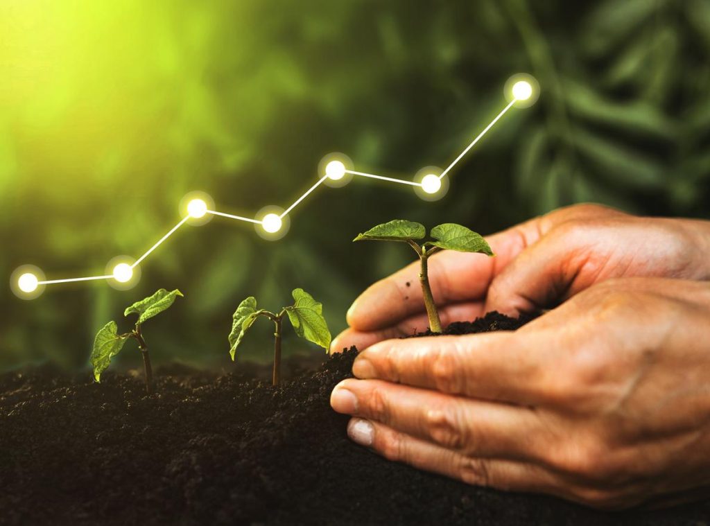 Illustration of stages of business growth