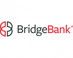 Bridgebank 300x300